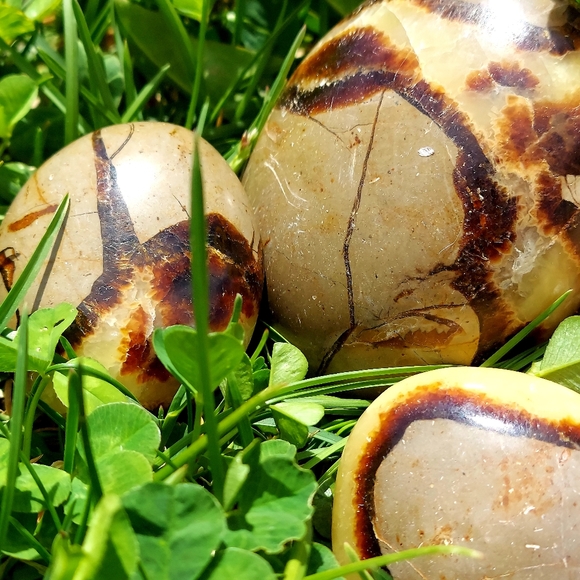 Septarian Nodules Plam Stones Dragon egg - Picture 4 of 11